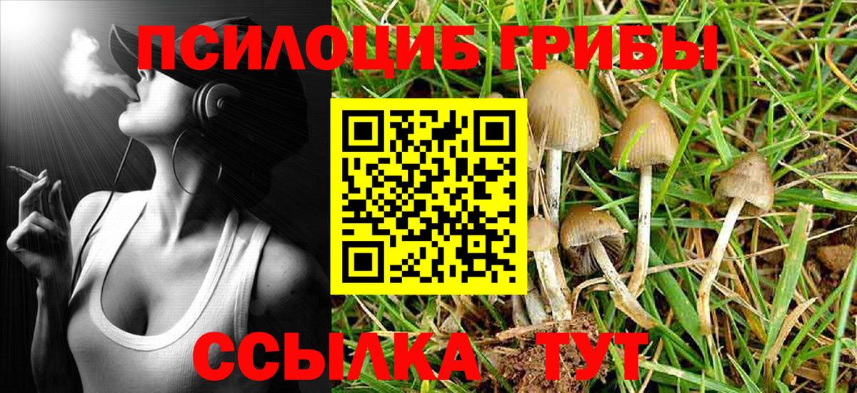 Псилоцибиновые грибы Magic Shrooms Гай